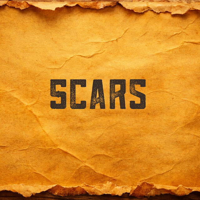 Scars cover